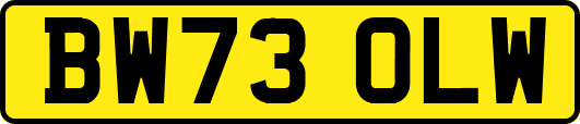 BW73OLW