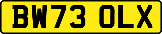 BW73OLX