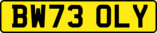 BW73OLY