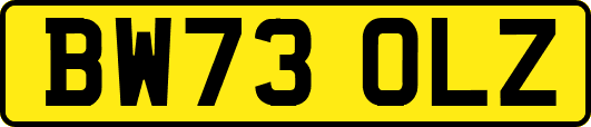 BW73OLZ