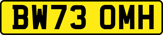 BW73OMH