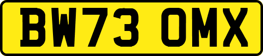 BW73OMX