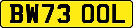 BW73OOL