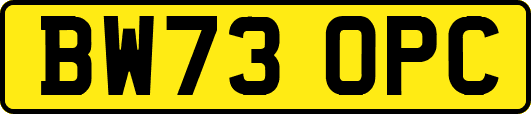 BW73OPC