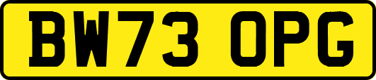 BW73OPG
