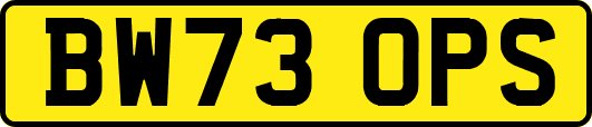 BW73OPS