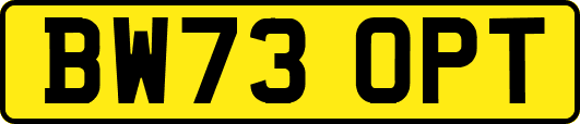 BW73OPT