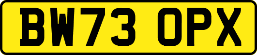 BW73OPX