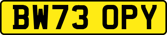 BW73OPY