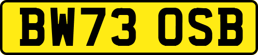 BW73OSB
