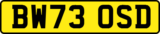 BW73OSD