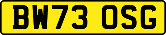 BW73OSG