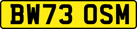 BW73OSM