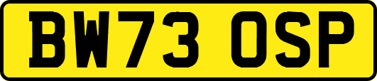 BW73OSP