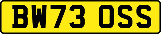 BW73OSS