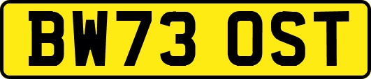 BW73OST