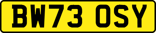 BW73OSY
