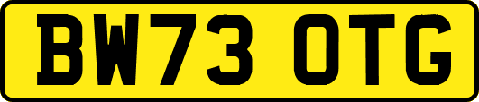 BW73OTG