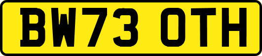 BW73OTH