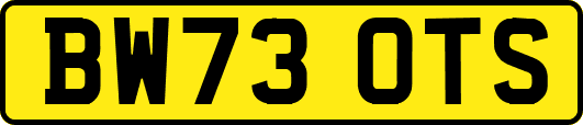 BW73OTS