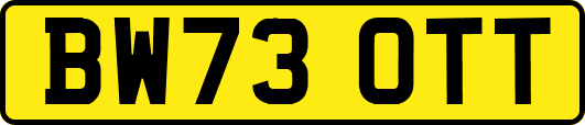 BW73OTT