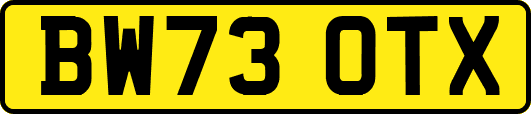BW73OTX