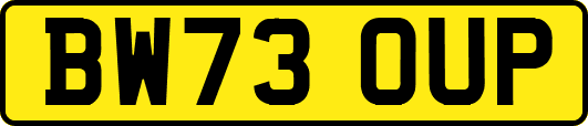 BW73OUP