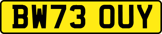 BW73OUY