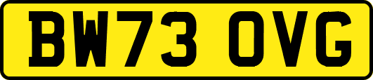 BW73OVG