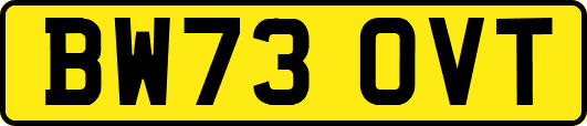 BW73OVT