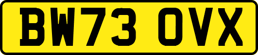 BW73OVX