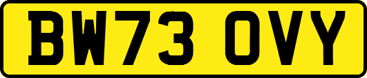BW73OVY