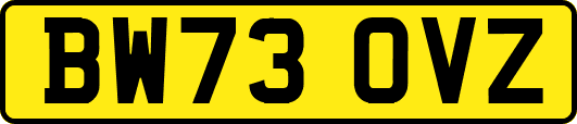 BW73OVZ