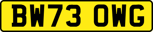 BW73OWG