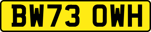 BW73OWH