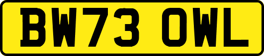 BW73OWL