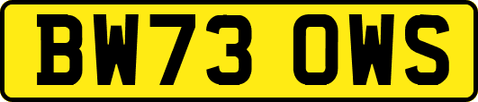 BW73OWS