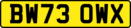 BW73OWX