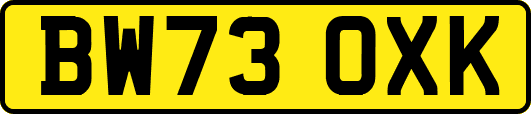 BW73OXK