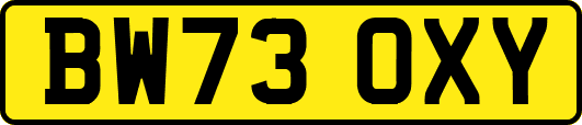BW73OXY