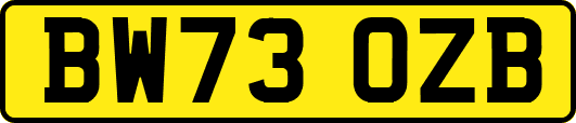 BW73OZB