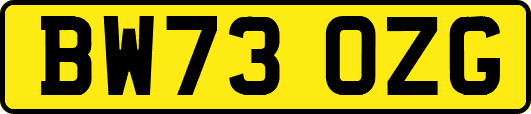 BW73OZG