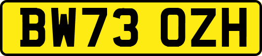 BW73OZH