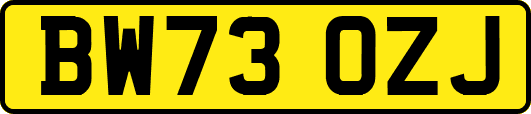 BW73OZJ