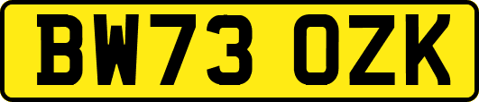BW73OZK