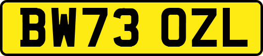 BW73OZL