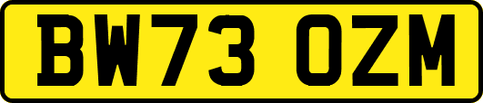 BW73OZM