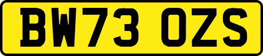BW73OZS