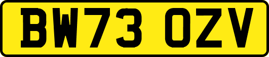 BW73OZV