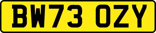 BW73OZY